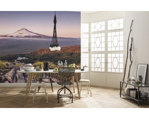 Lichte ruimte met eettafel, stoelen, lamp en fotobehang met berglandschap