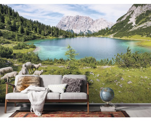 Fotobehang met een bergmeer en schapen