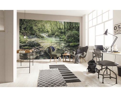 Woonkamer met fotobehang van een bosbeek, tafelvoetbal, fauteuils, bureau en tapijten
