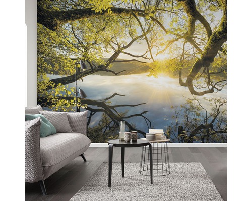 Woonkamer met fotobehang met boom en meer motief