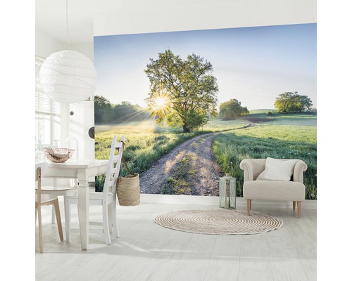 Woonkamer met fotobehang van een landschap met boom en pad