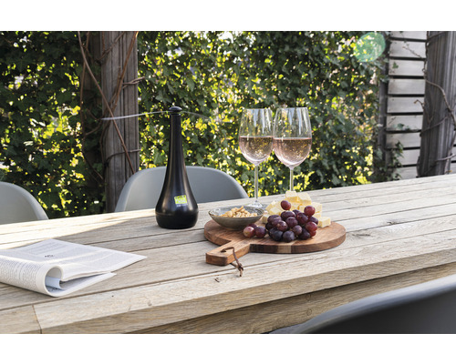 Scene met een buitentafel, gedekt met glazen, eten en een vliegenwerend apparaat