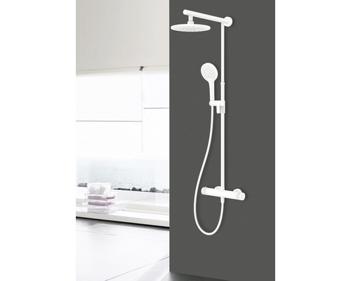 Douchezuil met hoofd- en handdouche in de badkamer