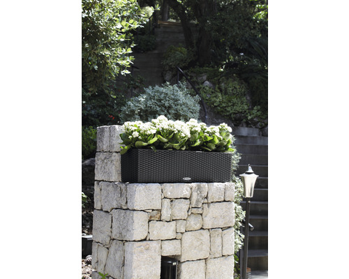 Rechthoekige rotan plantenbak op een stenen muur met beplanting