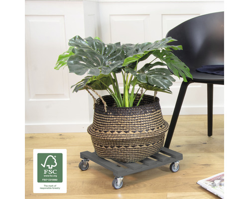 Kamerplant in een mand op een plantenroller met wielen en FSC-keurmerk