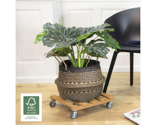 Kamerplant in een mand op een plantenroller van hout met wielen