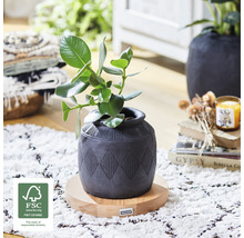 Kamerplant in pot met geometrisch patroon op houten voet