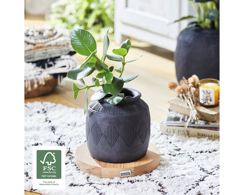 Kamerplant in pot met geometrisch patroon op houten voet