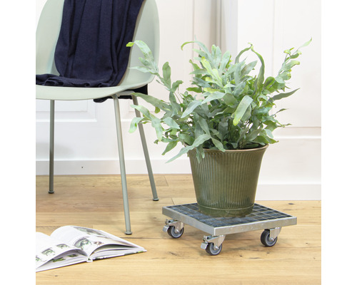 Kamerplant in een pot op een plantenroller naast een stoel met een boek