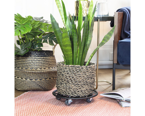 Kamer met planten in gevlochten sierpotten en plantenroller