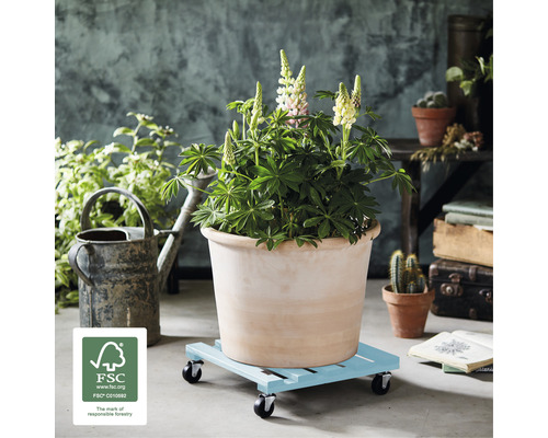 Bloempot met plant op plantenroller met wielen en FSC keurmerk