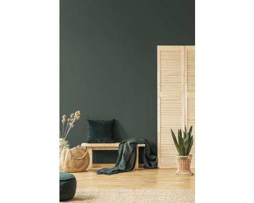 Woonkamer met bank, kussen, sprei, plant en kamerscherm