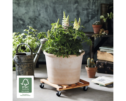 Planten in terracotta pot op plantenroller met wielen en FSC-keurmerk.