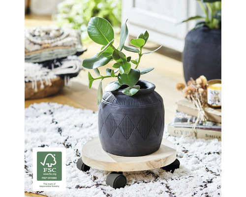 Plant in een pot op een plantenroller met FSC keurmerk