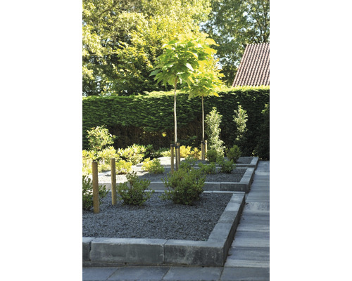 Tuinontwerp met bomen, struiken en stenen in een formele stijl