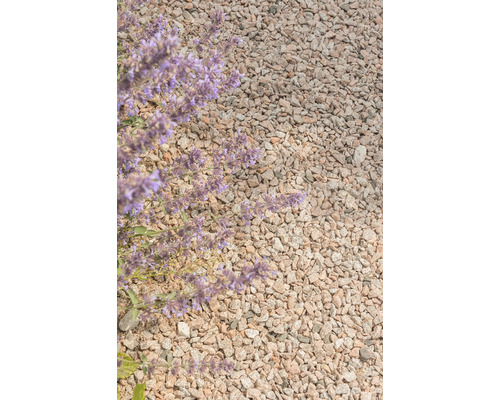 Close-up van decoratieve steenslag en bloeiende planten in de tuin.