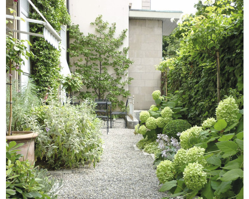 Tuin met grindpad, planten en zithoek