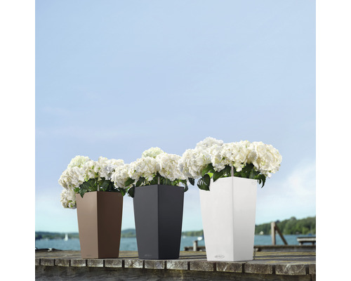 Drie hoge plantenbakken met bloemen op een houten steiger