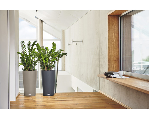 Twee kamerplanten in gestructureerde plantenbakken in lichte ruimte