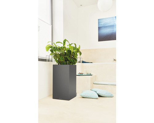 Planten in een vierkante plantenbak in de badkamer
