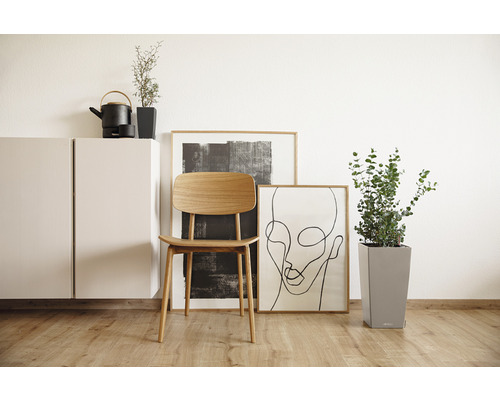 Woonkamer met houten stoel, planten en decoratie