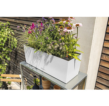 Rechthoekige plantenbak met diverse bloemen op een metalen tafel