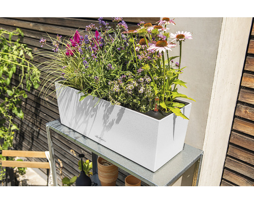 Rechthoekige plantenbak met diverse bloemen op een metalen tafel