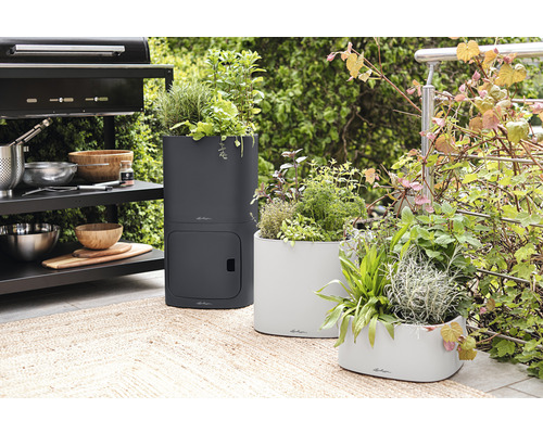 Drie beplante plantenbakken op een terras naast een barbecue.