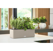 Rechthoekige plantenbak met kruiden en Lechuza logo op een tafel