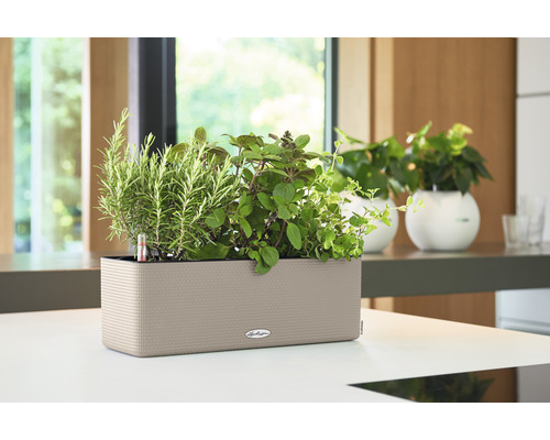 Rechthoekige plantenbak met kruiden en Lechuza logo op een tafel
