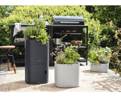 Tuinarrangement met kruiden in plantenbakken op een terras