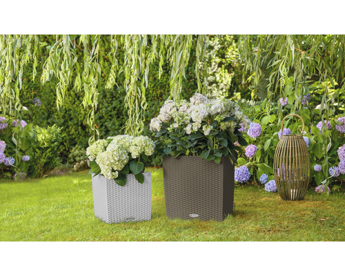 Twee plantenbakken met planten en een lantaarn in de tuin.