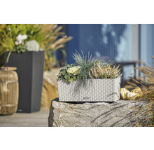 Decoratieve plantenbakken in een tuinsetting.