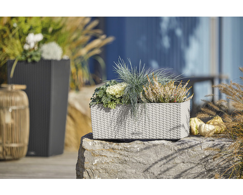 Decoratieve plantenbakken in een tuinsetting.