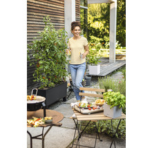 Tuinscene met vrouw, barbecue, tafel, stoelen en plantenbakken met tomatenplanten