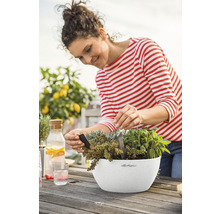 LECHUZA All-in-One Set Plantenschaal Stone Cubeto Kunststof wit Ø 29,8 cm H 13,5 cm