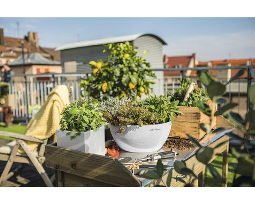 Scene met diverse kruiden in plantenbakken op een tuintafel in de buitenlucht