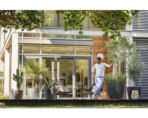 Terras met diverse planten in plantenbakken voor een modern huis.