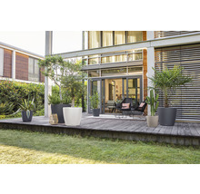 Buitenruimte met planten in plantenbakken op een terras