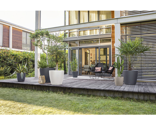 Buitenruimte met planten in plantenbakken op een terras