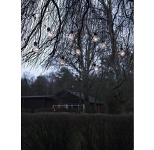 Scene met een lichtsnoer dat aan takken in de tuin hangt en zorgt voor een sfeervolle verlichting.