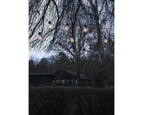 Scene met een lichtsnoer dat aan takken in de tuin hangt en zorgt voor een sfeervolle verlichting.