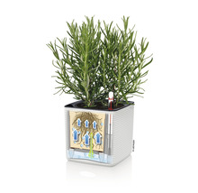 Plant in pot met bewateringssysteem schema