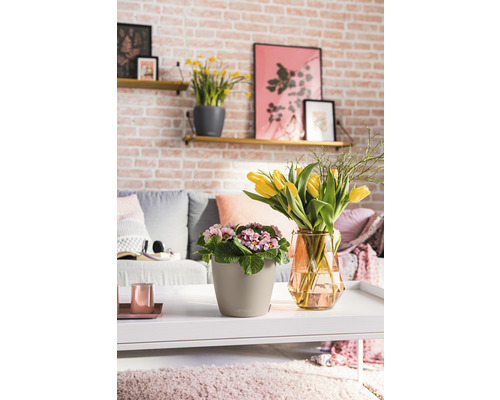 Woonkamer met tafeldecoratie, bestaande uit bloempotten en tulpen in een vaas