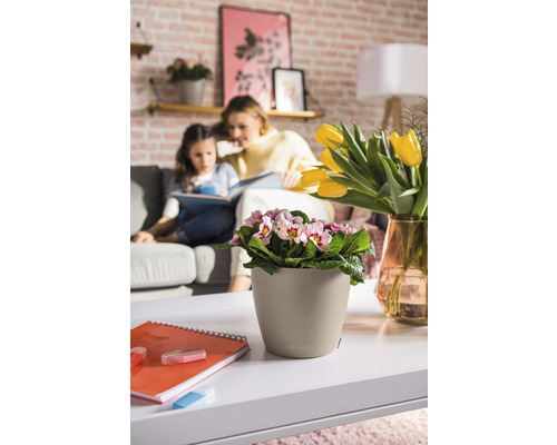 Woonkamer met sleutelbloem in bloempot op een tafel