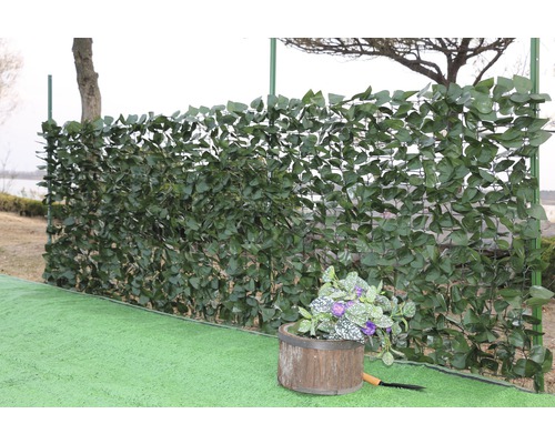 Tuinhek met groene bladeren en een plantenbak in de tuin