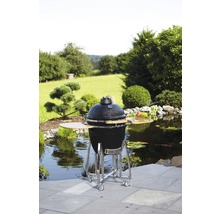 Keramische barbecue op wielen in tuin met vijver