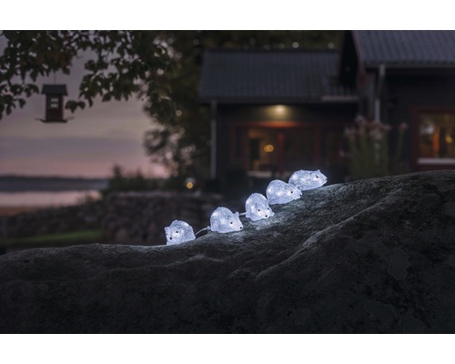 Decoratieve lichtslinger met egelmotief op een steen in de tuin.