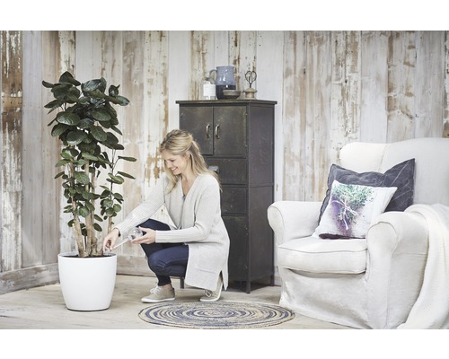 Vrouw geeft water aan kamerplant in witte pot in lichte kamer met fauteuil en kast