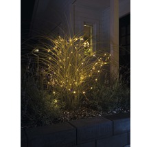 Decoratieve lichtslinger omwikkelt een plant in de tuin.